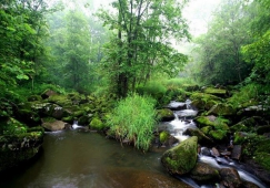 廣州到伊春物流專線，廣州至伊春貨運(yùn)公司