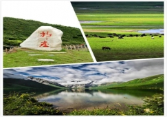 廣州到阿壩物流專(zhuān)線，專(zhuān)業(yè)運(yùn)輸廣州至阿壩貨運(yùn)公司