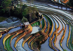 廣州到紅河物流專(zhuān)線，直達(dá)運(yùn)輸公司廣州至紅河貨運(yùn)