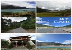 廣州到林芝物流專(zhuān)線，整車(chē)零擔(dān)配貨的廣州到林芝貨運(yùn)