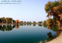 廣州到阿克蘇物流專線，廣州到新疆阿克蘇貨運(yùn)公司