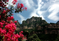 廣州到安陽物流專線，廣州到安陽貨運公司