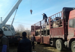 佛山順德到永州物流專線-順德區(qū)到永州貨運公司