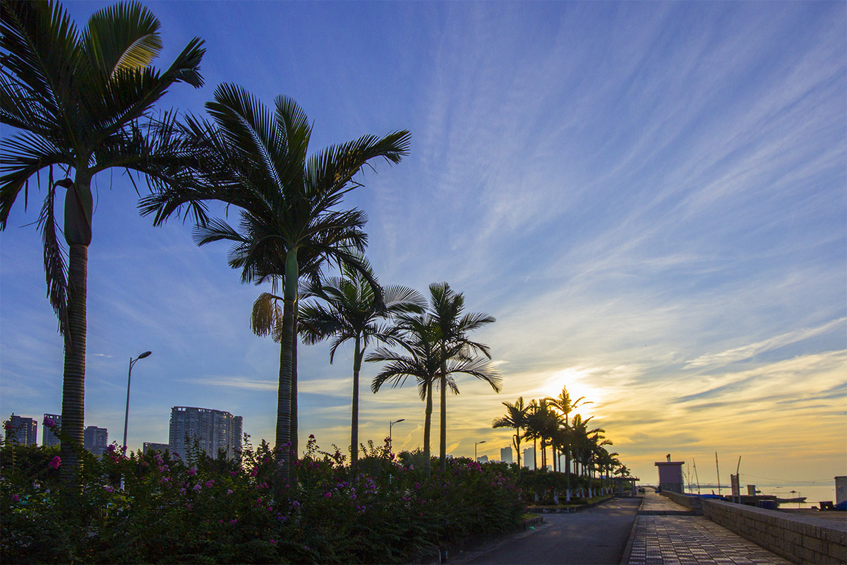 1-200G215555SP.jpg 1-200G215555SP.jpg